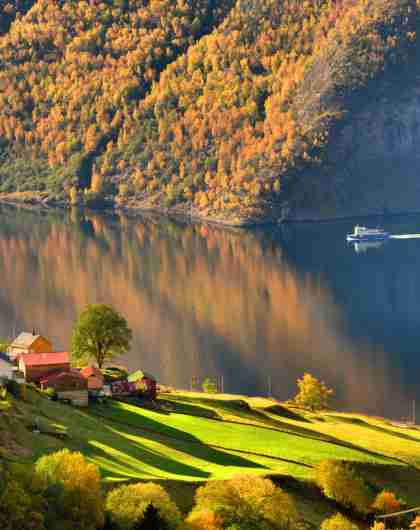 A wonderful autumn experience by the Aurlandsfjord - a fjord landscape in autumn colours