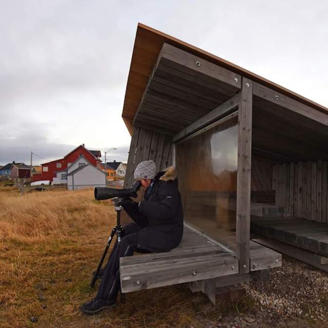 A person making pictures at a birdwatching shed near the water at Ekkerøy, Troms, Northern Norway