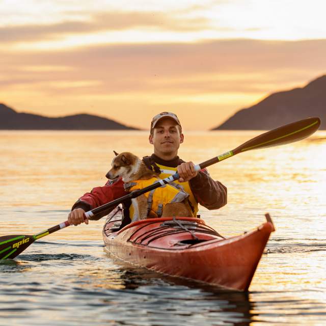 A man and a dog is kayaking in the midnight sun in Northern Norway.