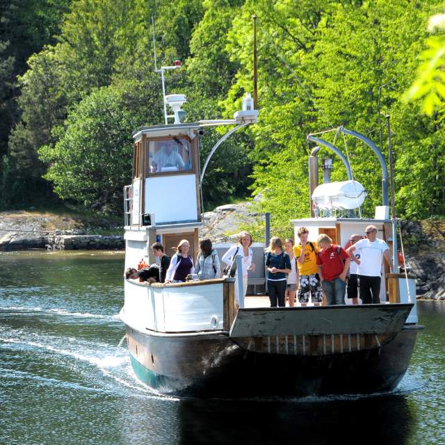 Risør | Trähus, Trebåtfestivalen, vattensport