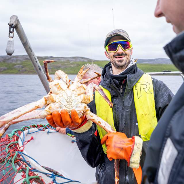 Go on a guided king crab safari