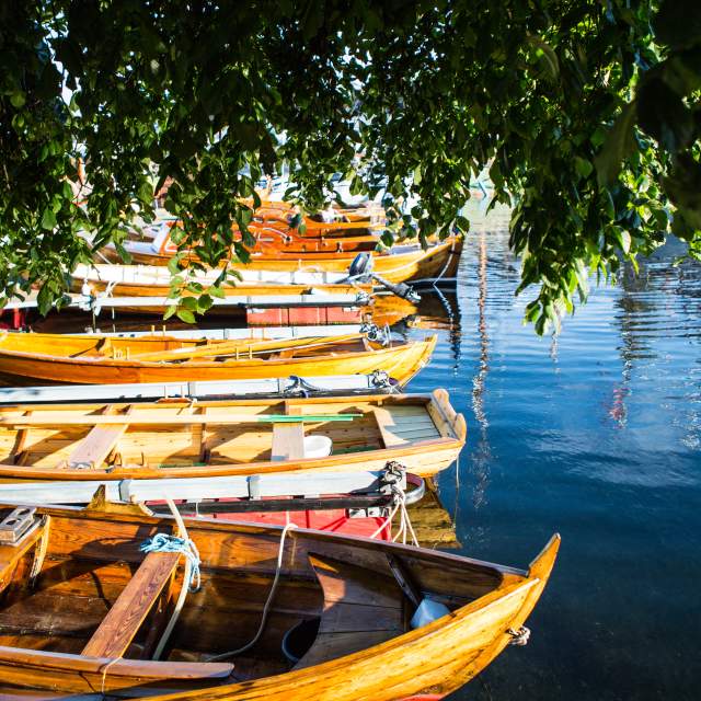 Risør | Trähus, Trebåtfestivalen, vattensport