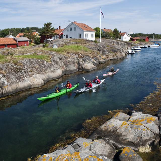 Risør | Trähus, Trebåtfestivalen, vattensport