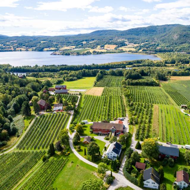 Noorse gløgg uit het Fruitdorp | Telemark