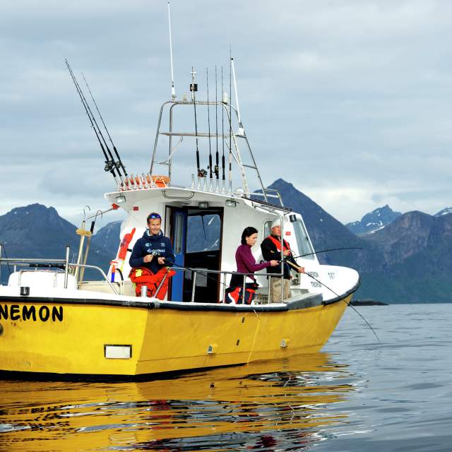 Fishing Equipment -  Norway