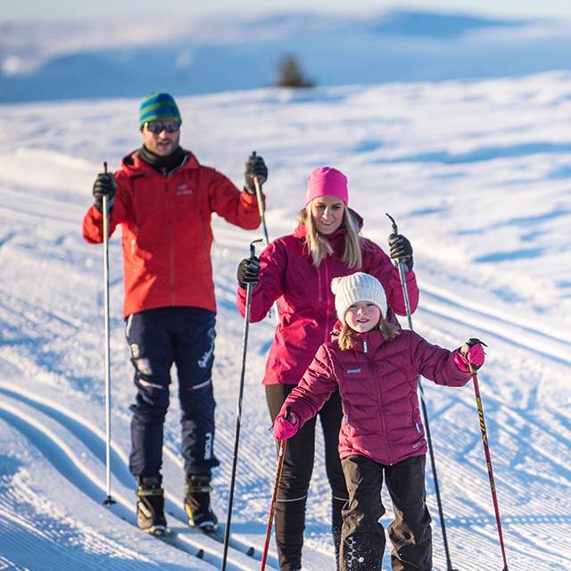 Skiing: The Cold Weather Workout You Didn't Know You Needed