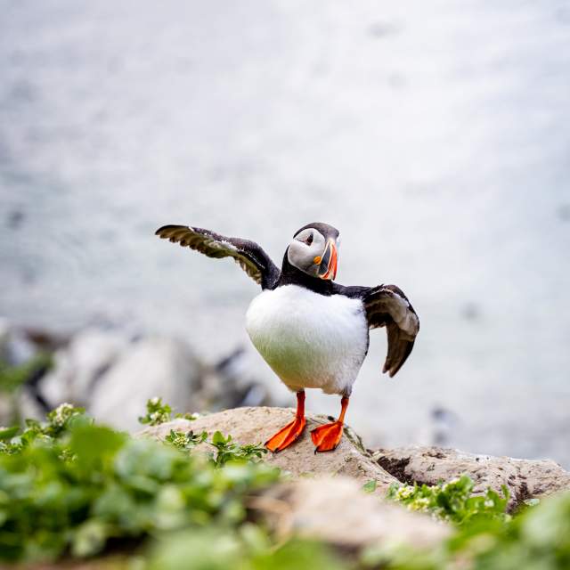 #uitgezoomd vanuit Noorwegen