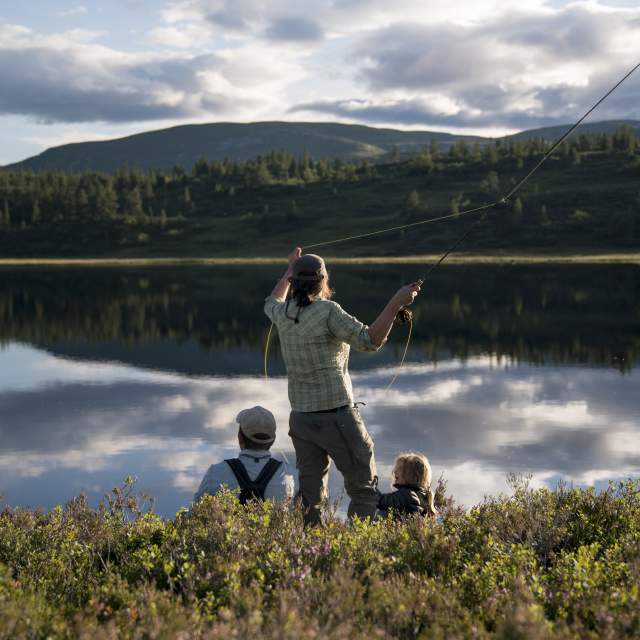 Eagle River Outfitter: Half-Day Fly Fishing Experience: Book Tours
