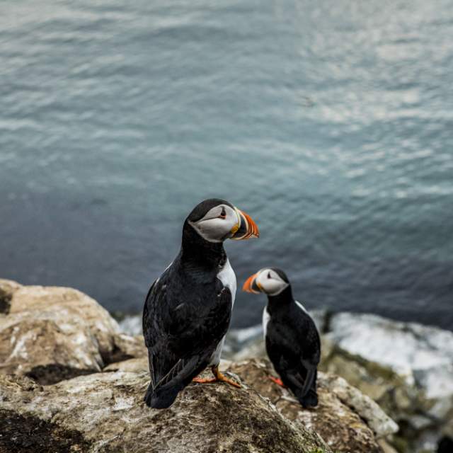 April in Norwegen | Aktivitäten und Erlebnisse April in Norwegen | Aktivitäten und Erlebnisse