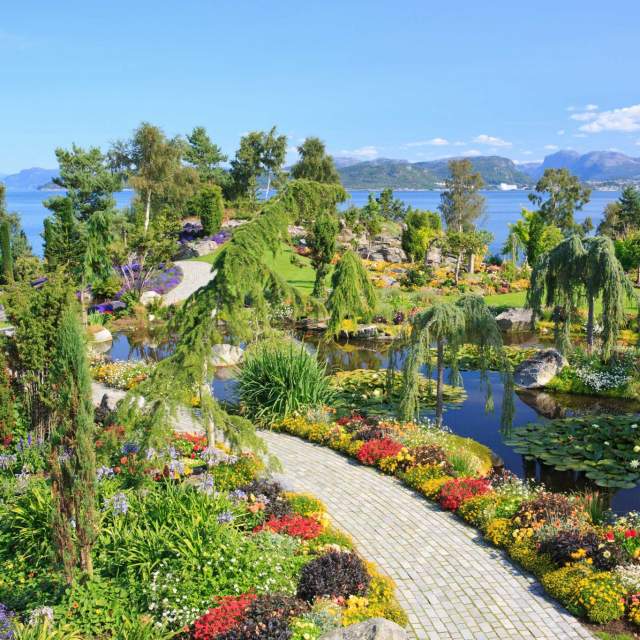 Prydbusker og Trær: Skap en Fantastisk Hage () Prydbusker og Trær: Skap en Fantastisk Hage