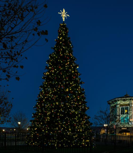 Visit Napa Valley Wineries, Hotels, Events & Restaurants