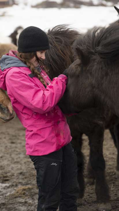 Horse Riding Plan Your Horseback Adventure
