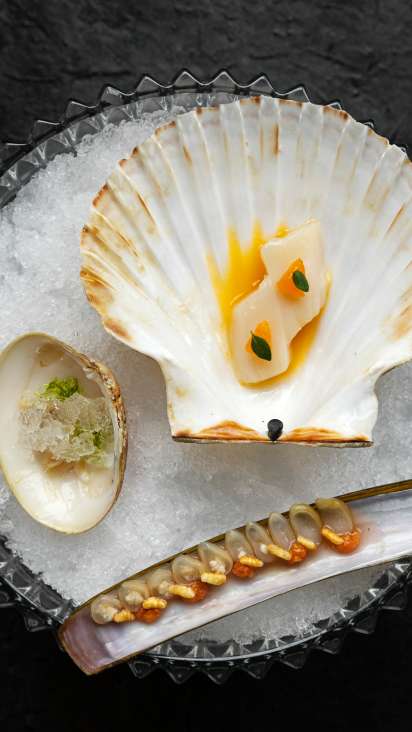 European Region of Gastronomy 2022 | Trondheim and Trøndelag