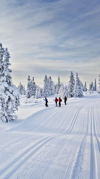 Cross Country Skiing In Norway Try Norway S National Sport