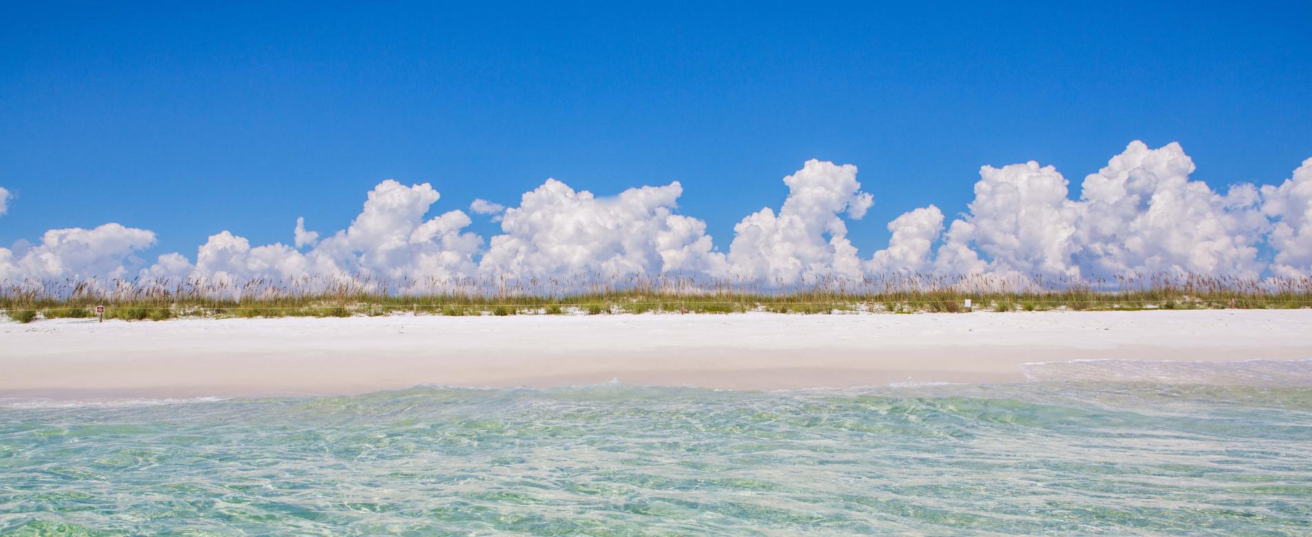 Are There Sharks In Destin Fort Walton Beach Amp Okaloosa