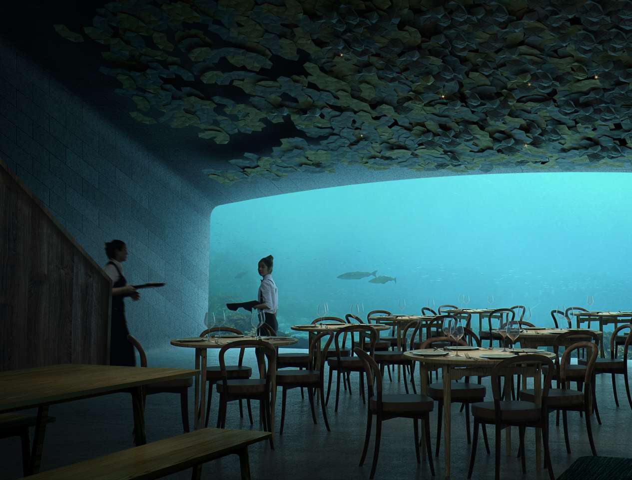Европа под водой. Under подводный ресторан в Норвегии. Ресторан андер Норвегия. Ресторан в воде в Норвегии. Ресторан under. Линдеснес, Норвегия.