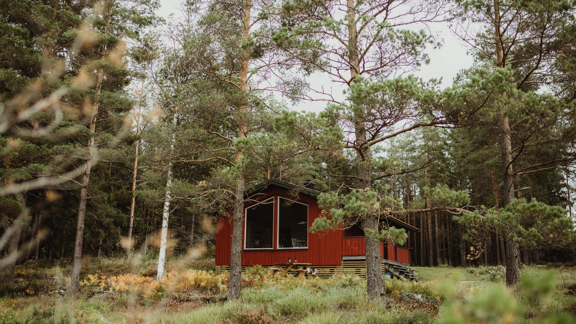 The Forest Cabins at Hafsrød