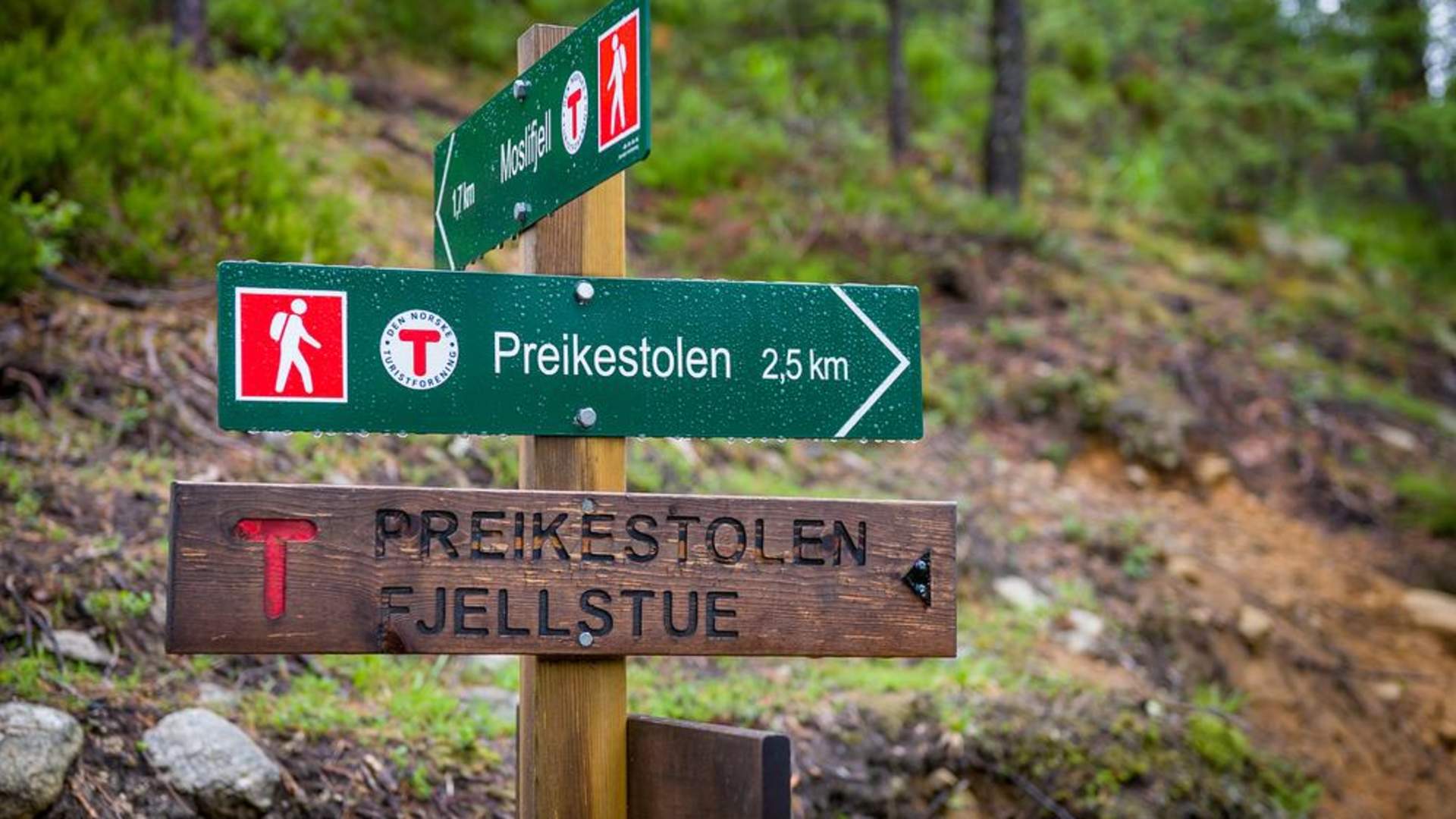 Ruta del Preikestolen