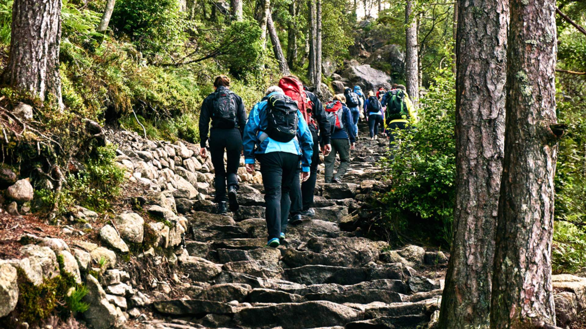 Subida al Preikestolen