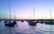 finger_lakes_canandaigua_lake_sail_boats_sunrise_4f406c9a 50ba 4f2b 9b02 3105c55db3e3