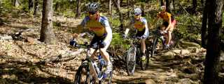 Cross Timbers Bikers