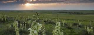 Smoky Valley Scenic Byway