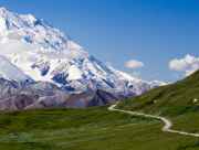 Denali National Park scenery in summer