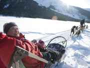 Dog sledding in Anchorage