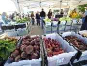 Alaska grown vegetables at farmers market