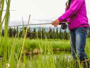 Alaska fishing with flyrod near Anchorage