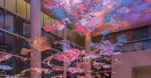 Restaurants Near The Grb Convention Center Avenida Houston Dining Restaurants