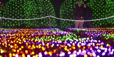 Winter Lights at the Arboretum