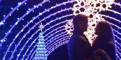 Winter Lights at the NC Arboretum