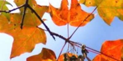 Autumn has Arrived