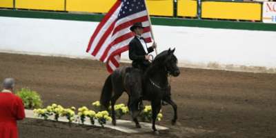 Make Time for a Little Horseplay