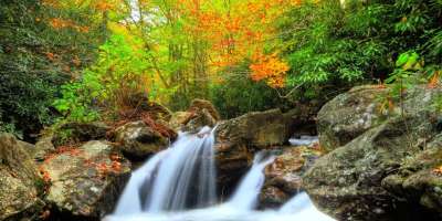 Fall Photo Contest Winners