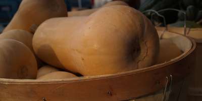 Holiday Farmers Tailgate Markets in Asheville