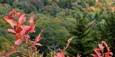High Elevations Reaching Peak Conditions