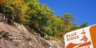 Fall Foliage ESP