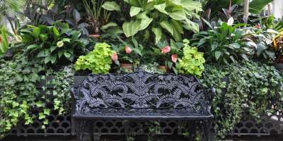 How To: Biltmore Container Gardens