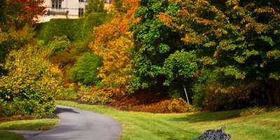 Fall Photos Submitted By You!