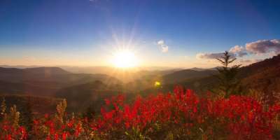 Red Fall Leaves at Sunrise