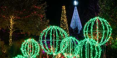 Winter Lights at the NC Arboretum