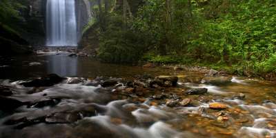 Looking Glass Falls