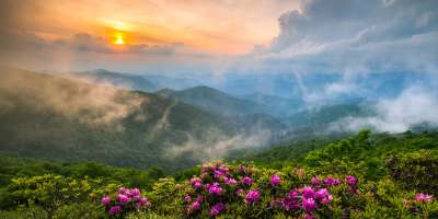 Appalachian Allure