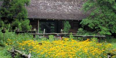 Asheville Botanical Gardens