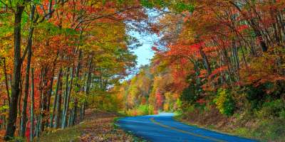 2014 Fall Color Milepost 399