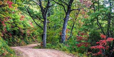 Early Fall in Mills River