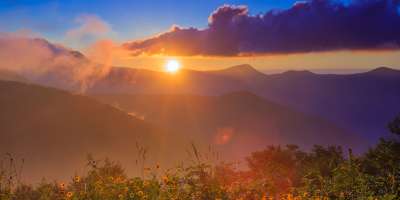 Sunrise over the mountains illuminates a field of wildflowers near Asheville.