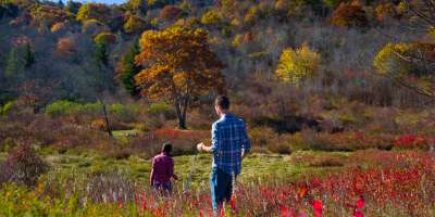 Graveyard Fields in Fall